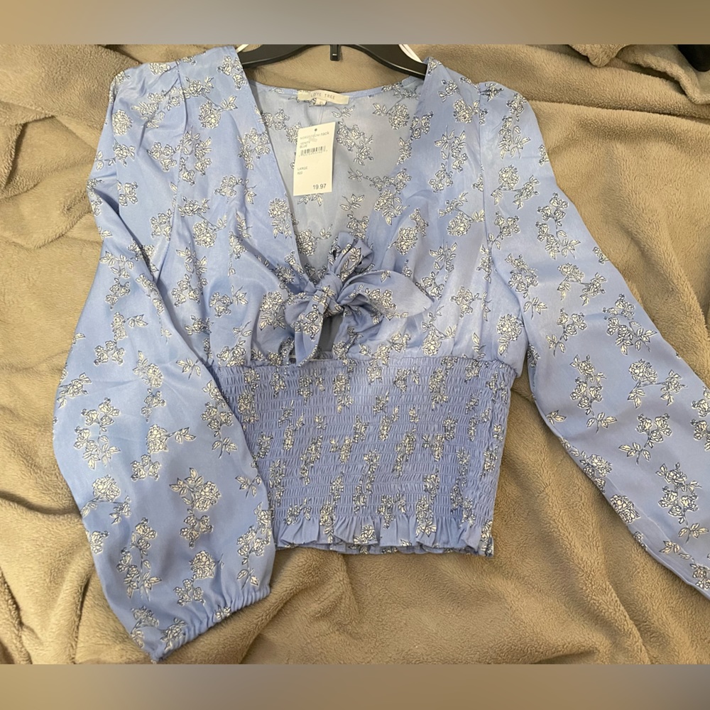 Low V Cut Blouse by Love Tree